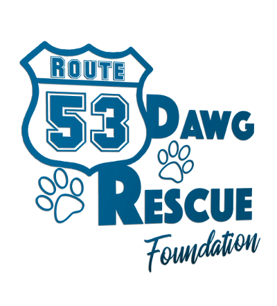 Route 53 Rescue